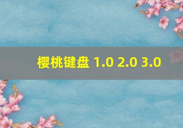 樱桃键盘 1.0 2.0 3.0